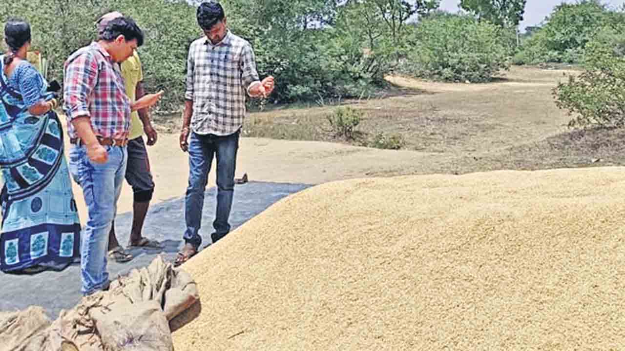 ప్రతి గింజనూ కొనుగోలు చేస్తాం