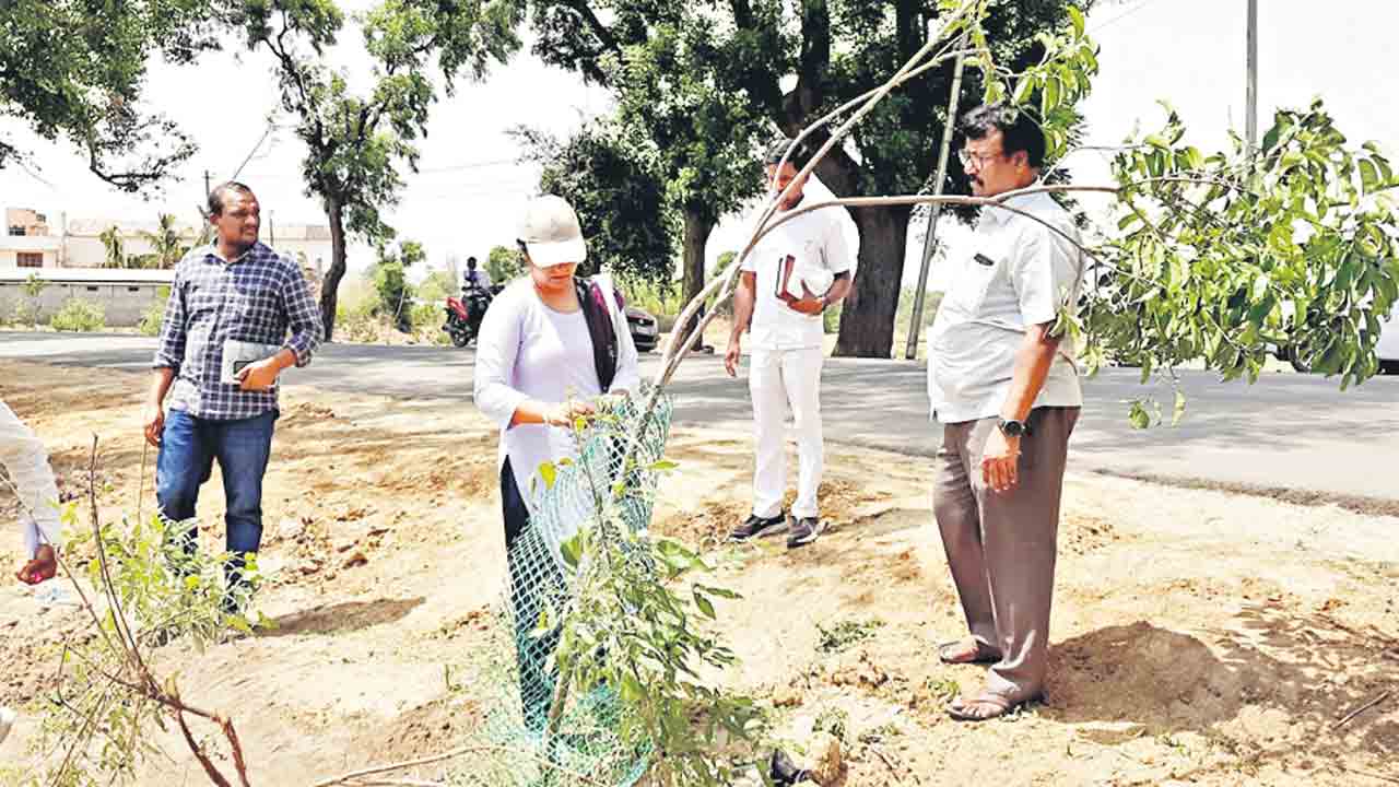 స్వచ్ఛ సందడి