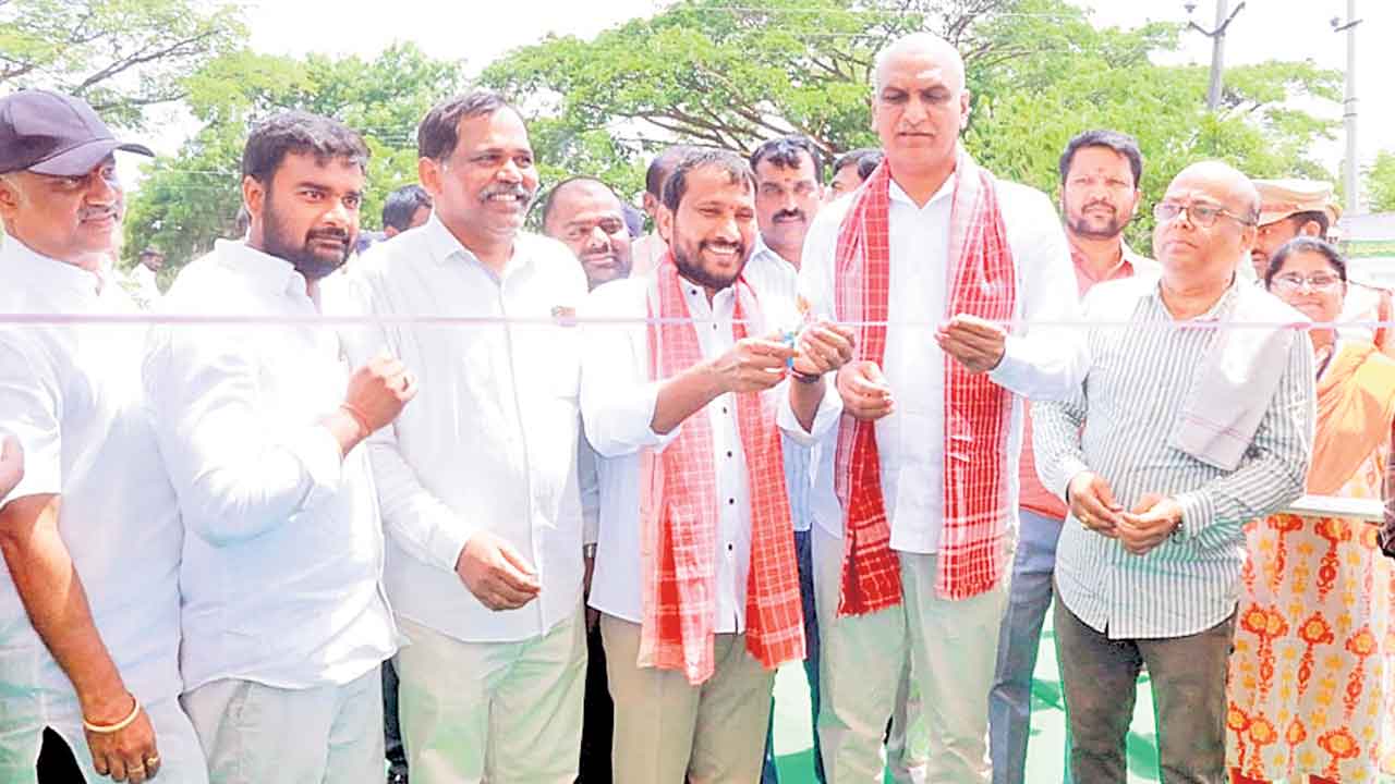 ఆయిల్‌పామ్‌ సాగుతో మంచి లాభాలు