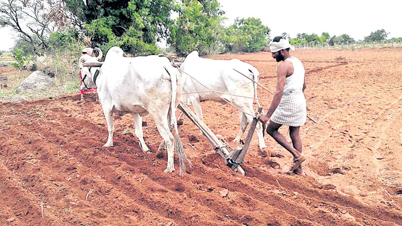 సాగు సన్నాహాలు