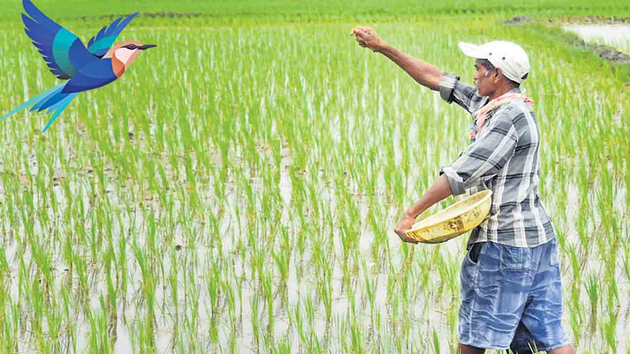 కల నిజమే అయింది