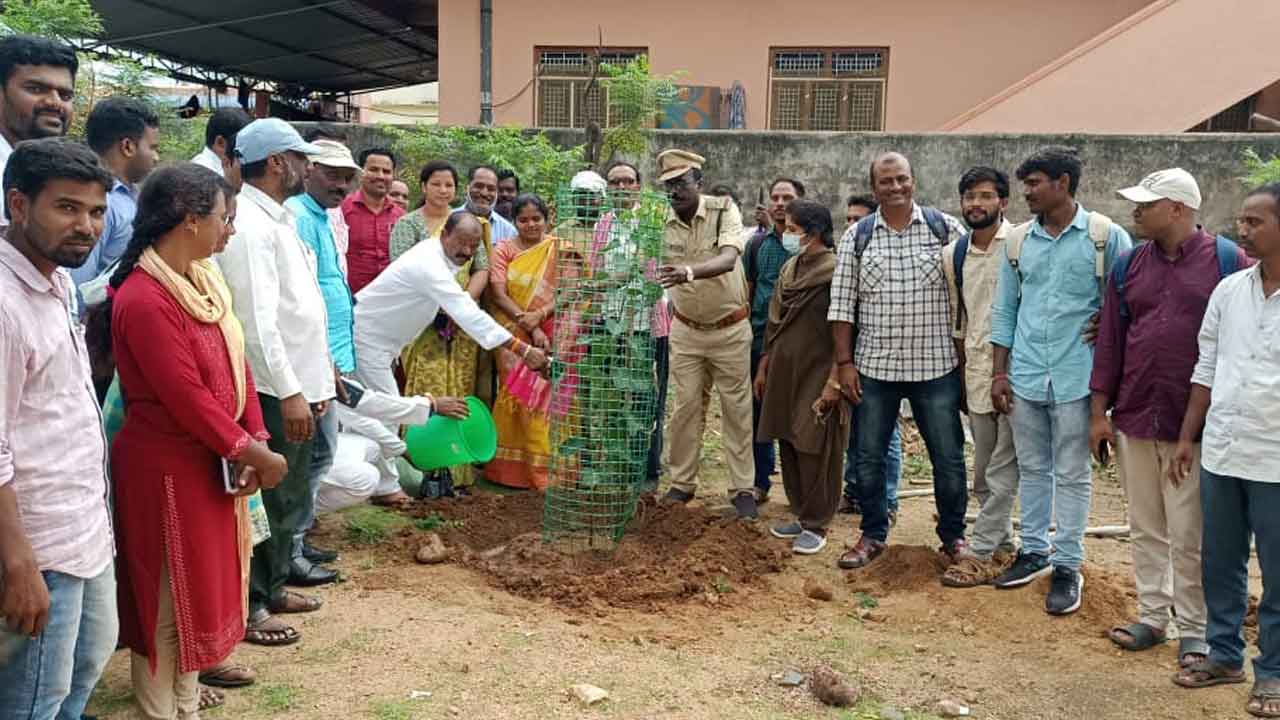 హరితహారాన్ని విజయవంతం చేయాలి