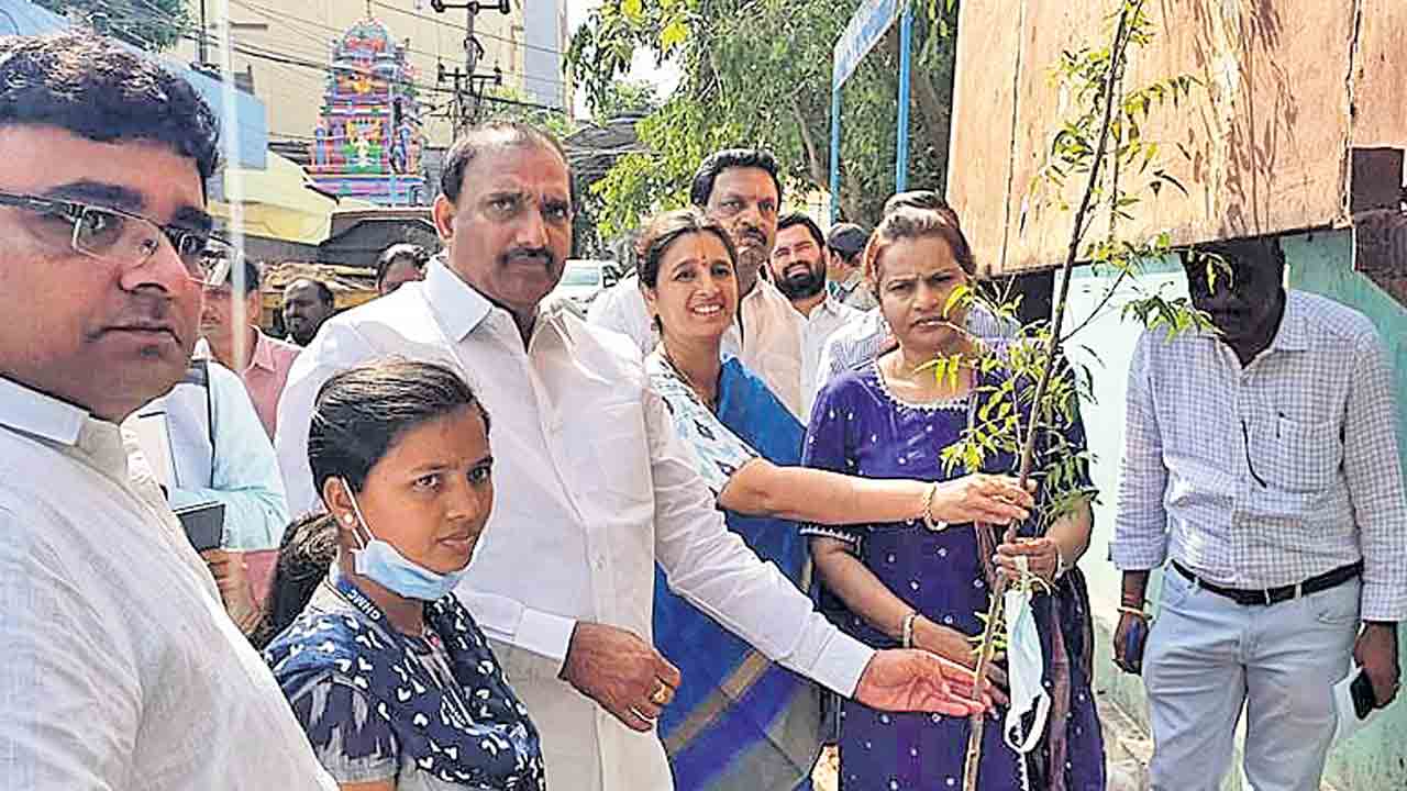 ఆవాసం బాగుంటేనే ఆరోగ్యం..