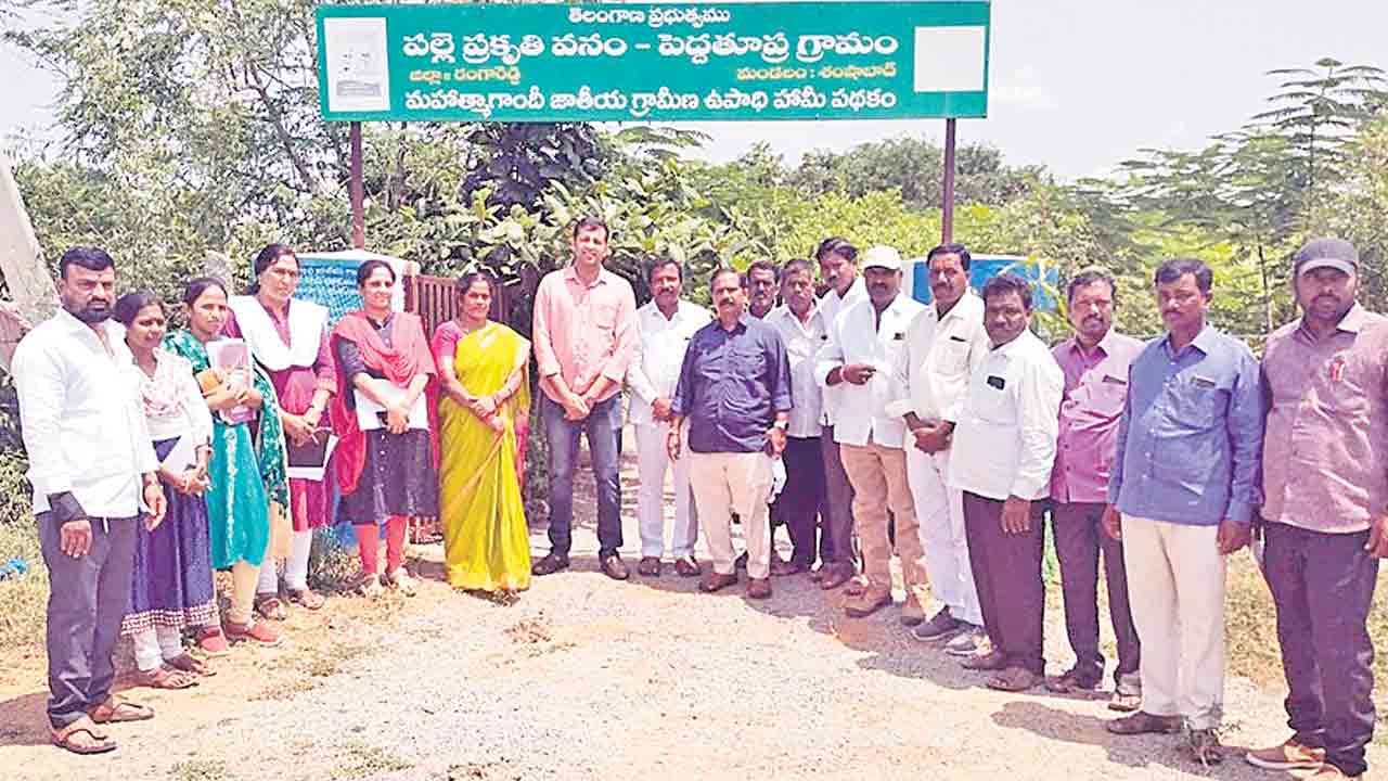 పల్లెప్రకృతి వనాలను మరింత అభివృద్ధి చేయాలి