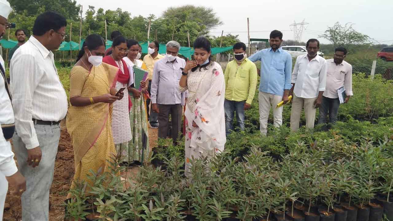 పల్లె ప్రగతిపై ప్రత్యేక దృష్టి సారించాలి