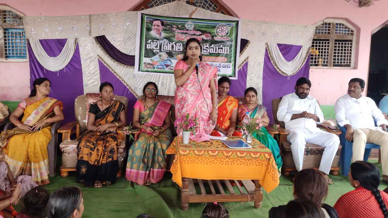 పల్లె ప్రగతిలో సమస్యలు పరిష్కరించాలి