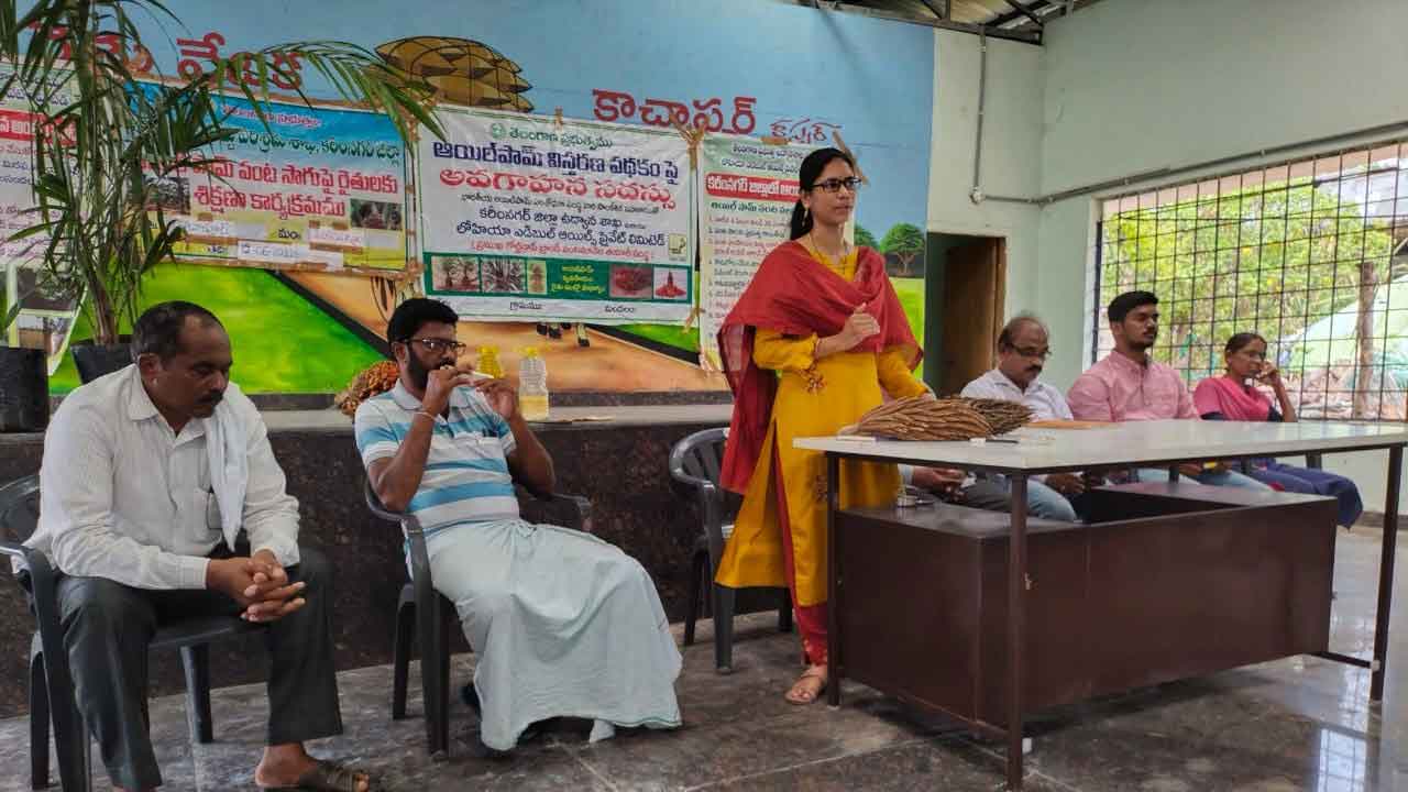 ఆయిల్‌ పాం సాగు రైతుకు లాభదాయకం