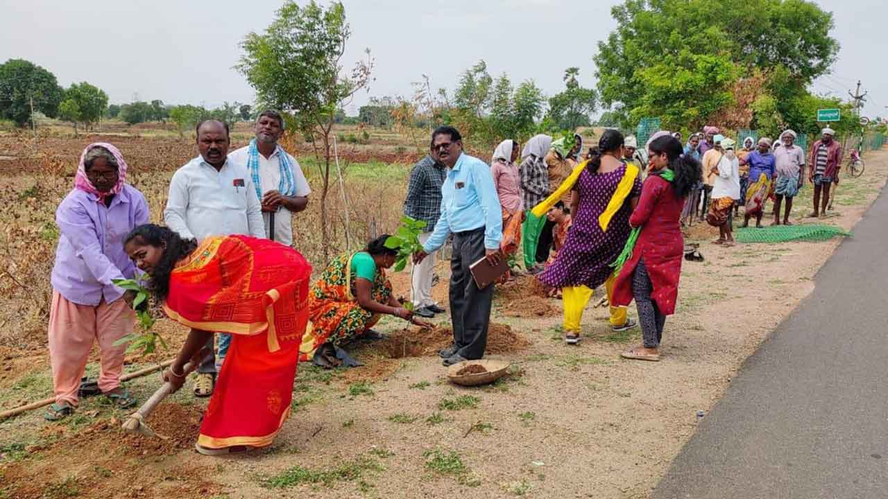 నాటిన ప్రతి మొక్కనూ సంరక్షించాలి