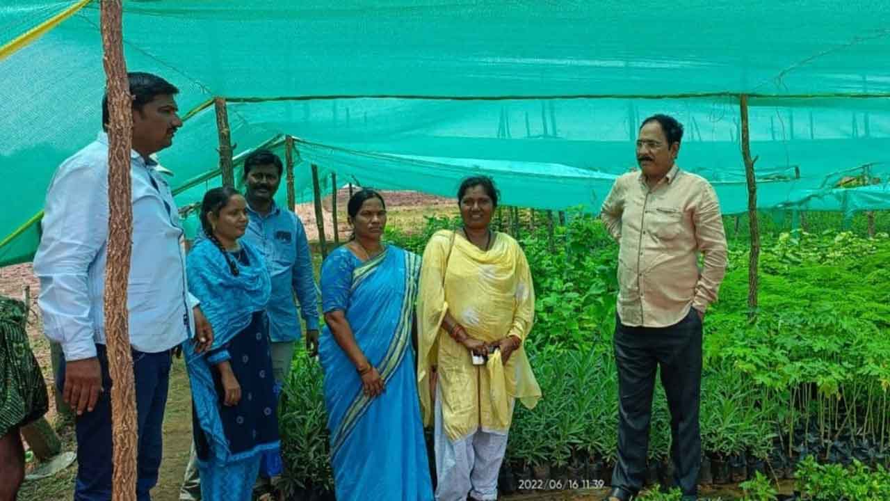 హరితహారానికి మొక్కలు సిద్ధం చేయాలి