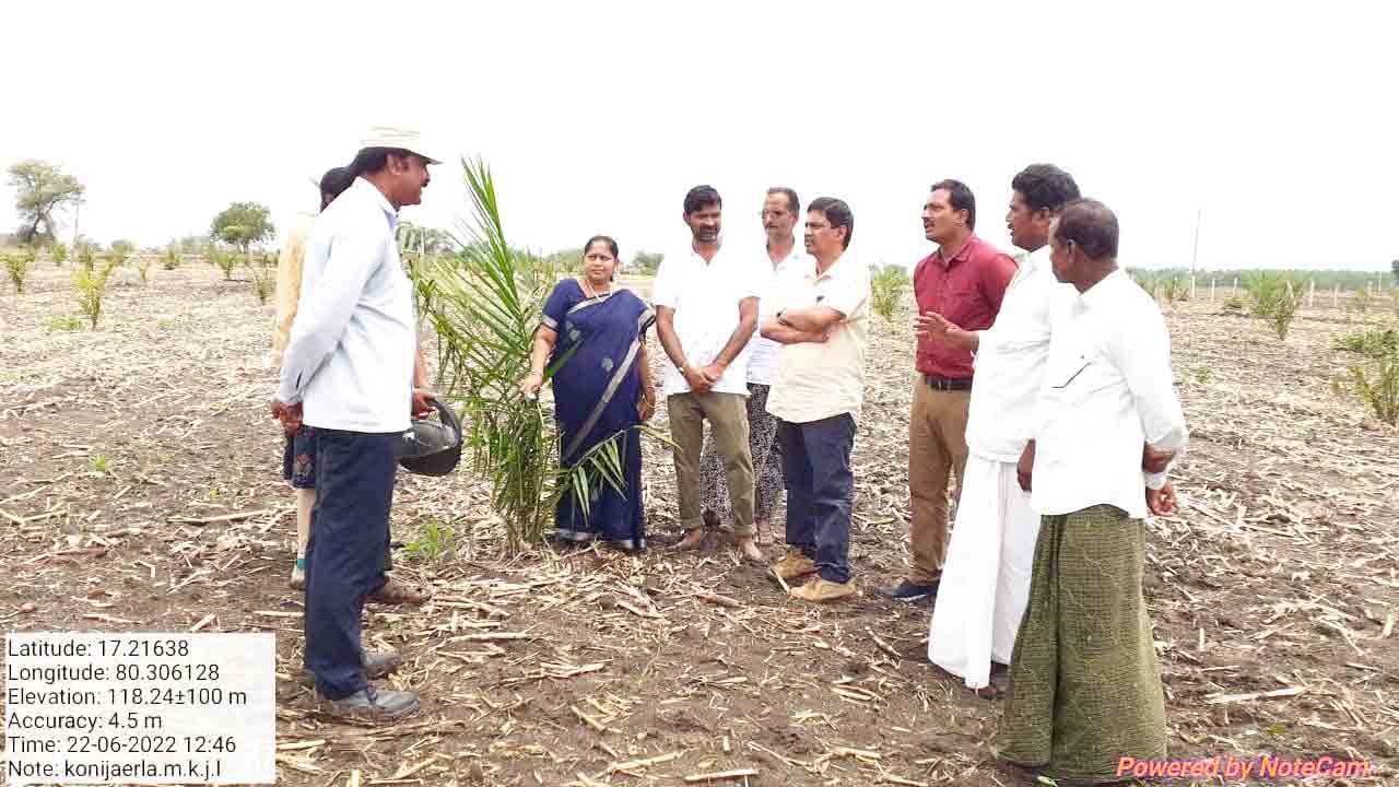 ప్రత్యామ్నాయ పంటలపై దృష్టి సారించాలి