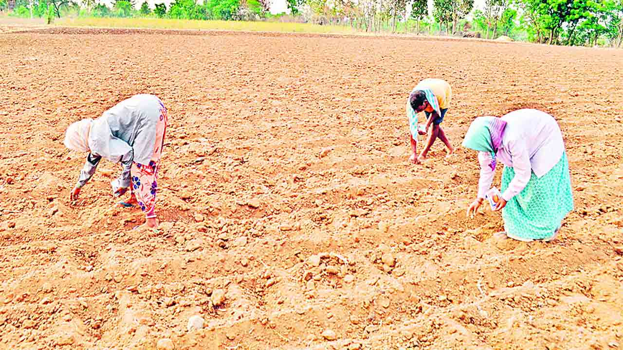 సాగుకు సన్నద్ధం..