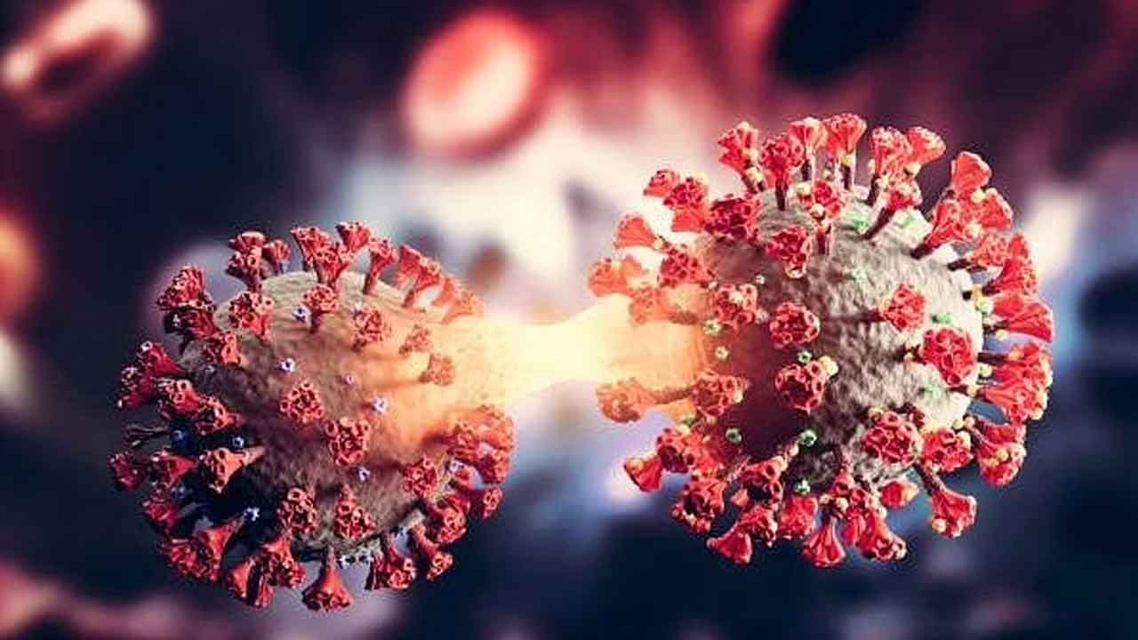 ఒక్కరోజులోనే 41% పెరిగిన కరోనా కేసులు