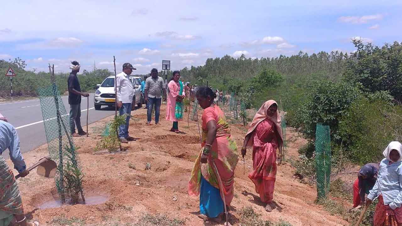 రోడ్లకు ఇరువైపులా మొక్కలు నాటాలి