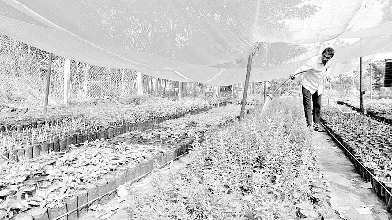 ఎనిమిదో విడుతకు సన్నాహాలు