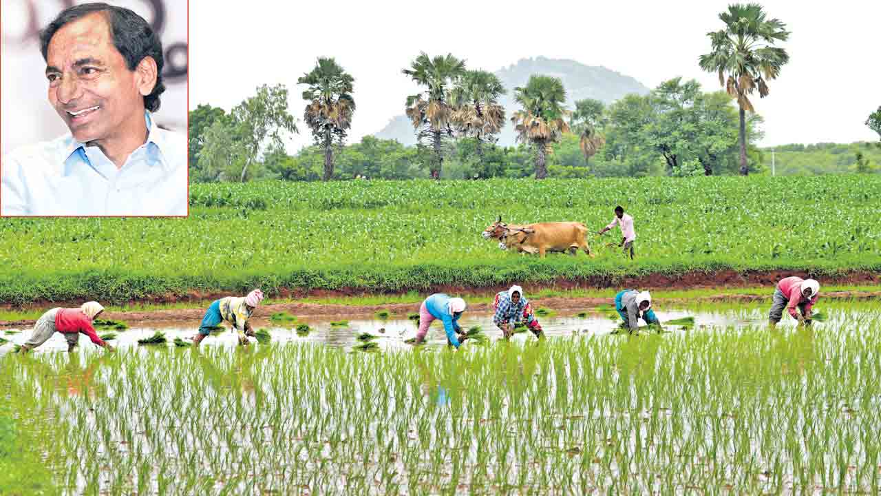 ‘పెట్టుబడి’కి దిగులు లేదిక