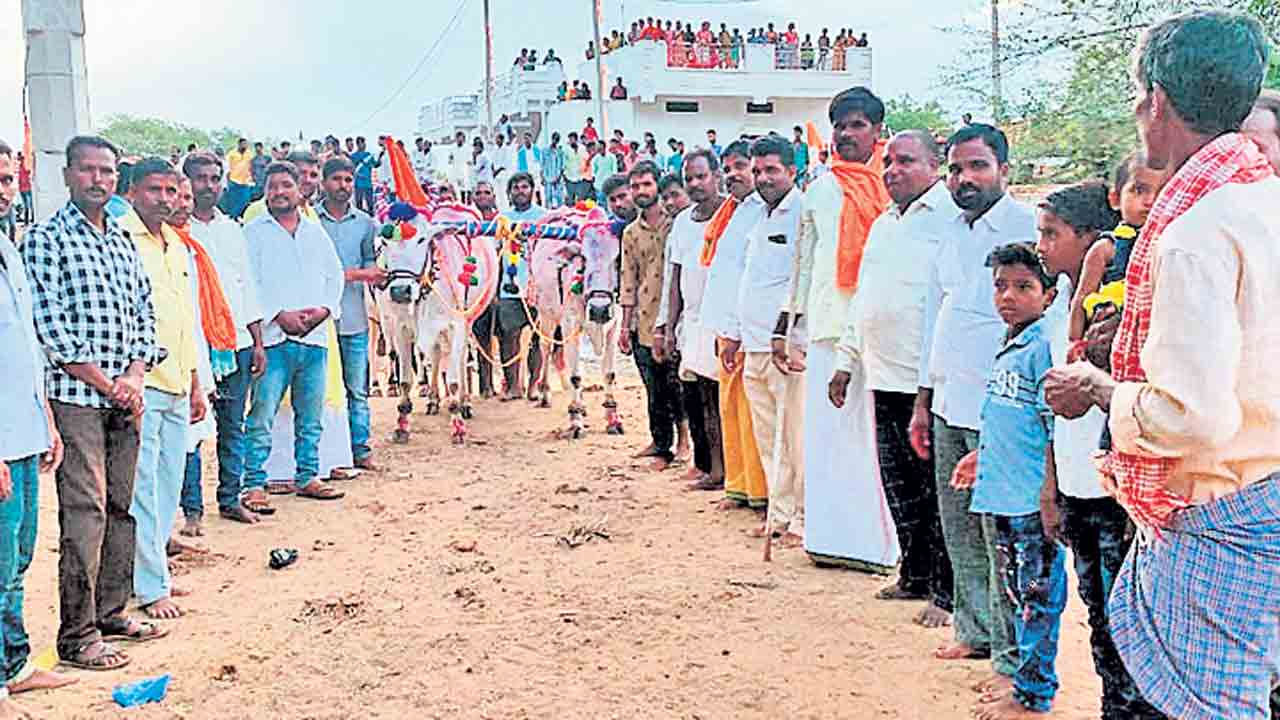 ఘనంగా ఏరువాక పౌర్ణమి