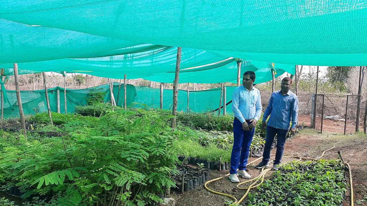 హరితహారంతోనే పర్యావరణ పరిరక్షణ