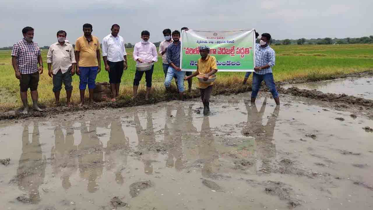 మూస పద్ధతితో తక్కువ దిగుబడి