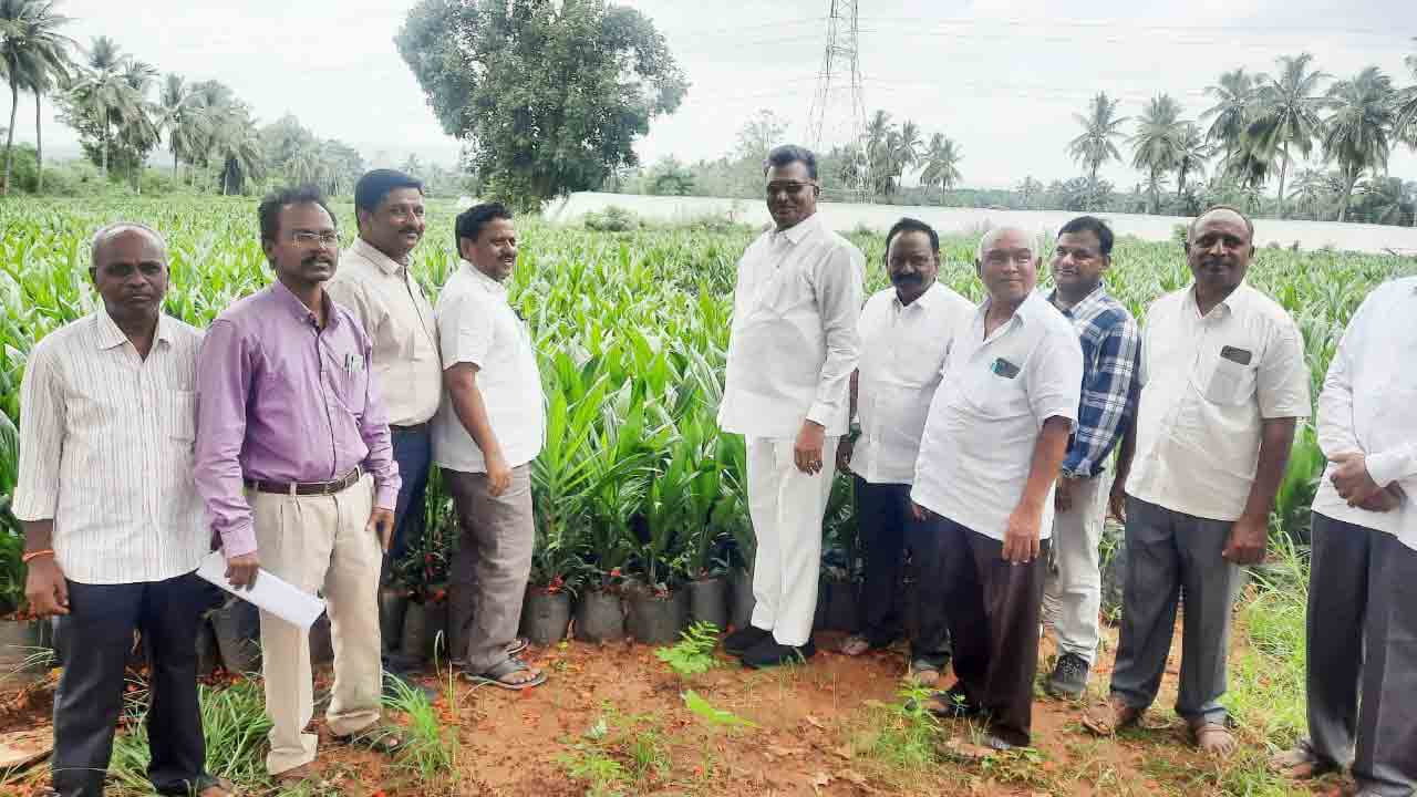 2025 నాటికి నాలుగు ఫ్యాక్టరీలు