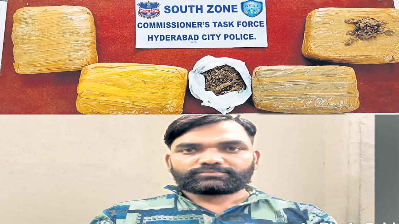 ఓ చేతిలో సమోసాలు..ఇంకో చేతిలో గంజాయి