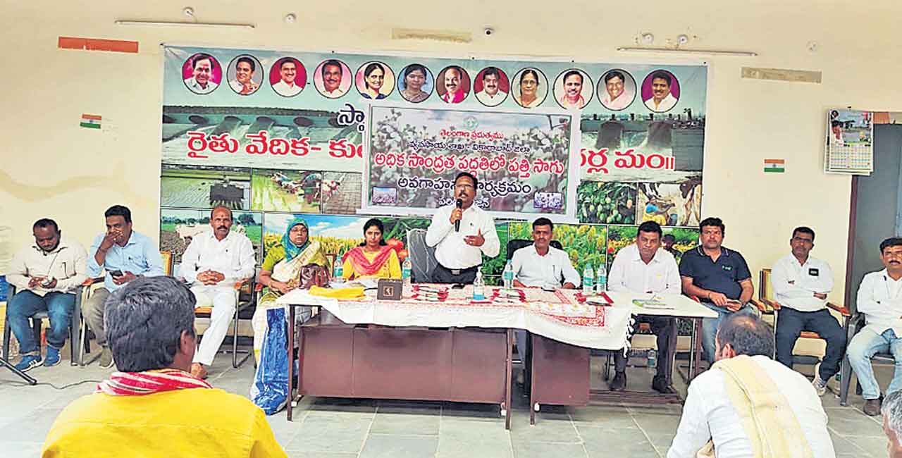 పత్తి సాగుతో దండిగా లాభాలు