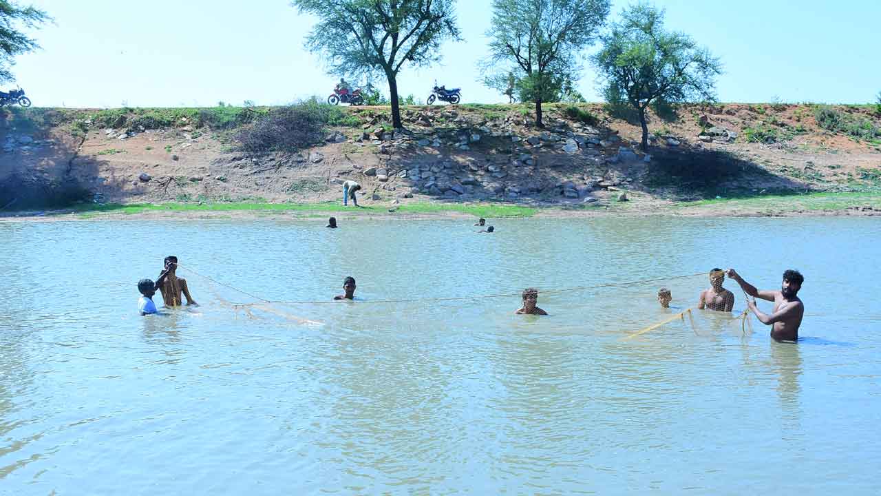 మీనం ఉత్పత్తి ఘనం