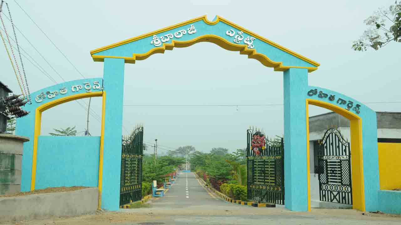 రియల్‌ ఎస్టేట్‌లో రారాజు ‘శ్రీ బాలాజీ ఎస్టేట్స్‌’