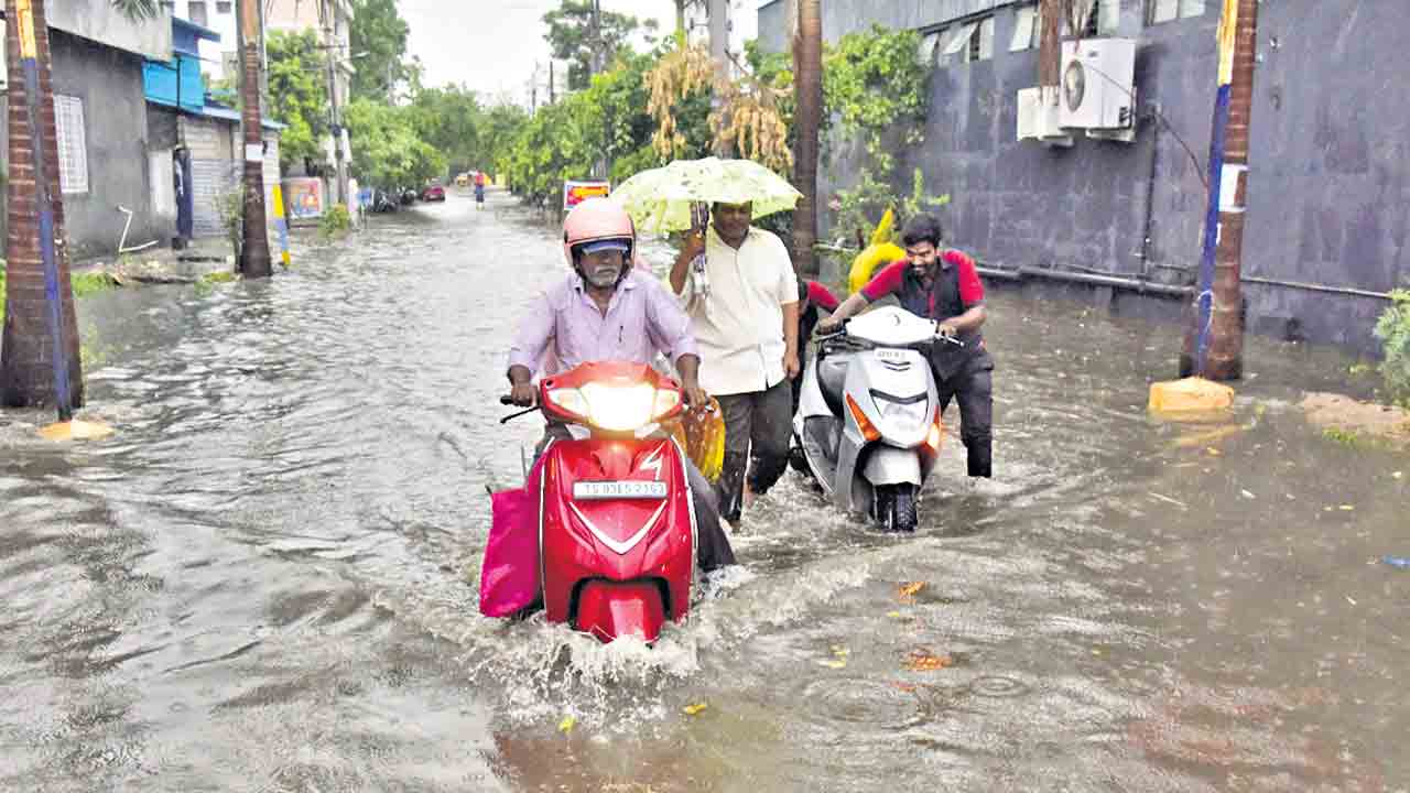 విస్తారంగా వానలు