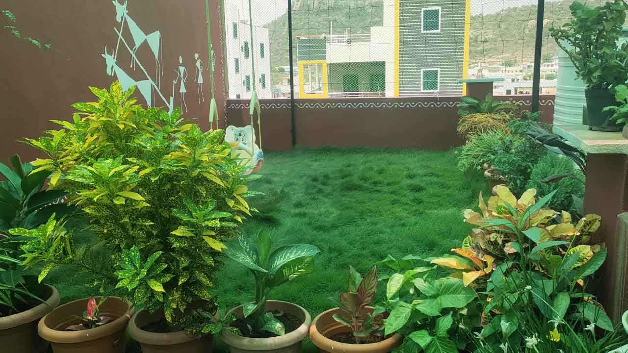 సేంద్రియం.. ఆరోగ్యం