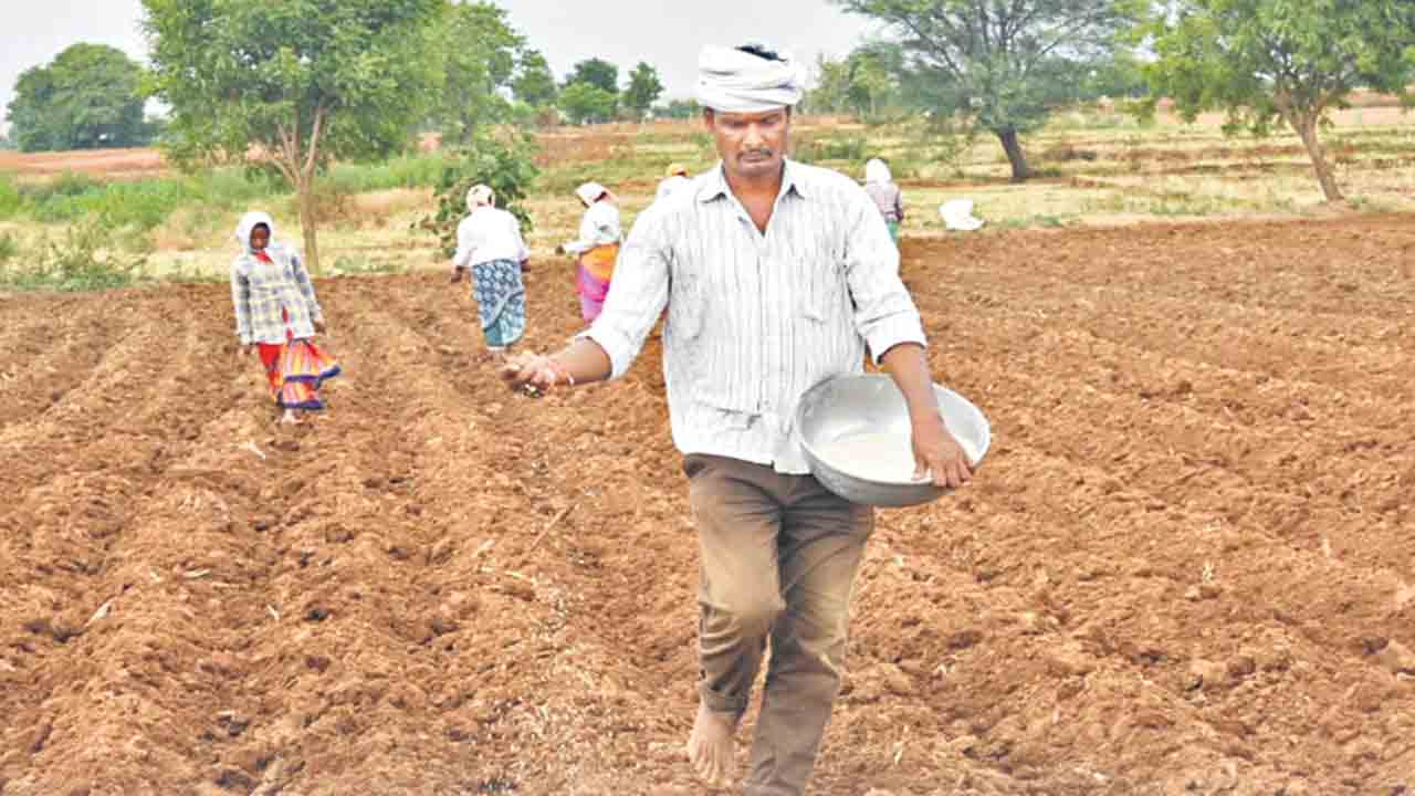 తొలకరి సాగుదారి..
