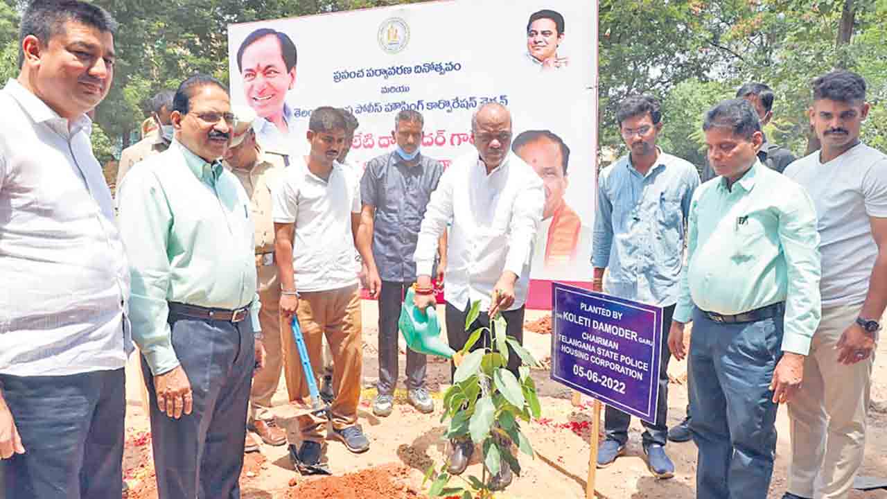 దేశానికే ఆదర్శం హరితహారం