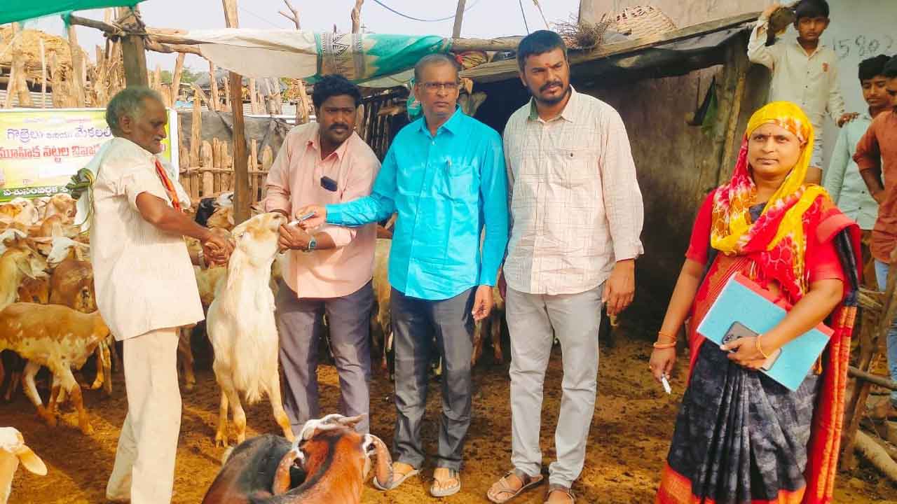 పశుపోషణపై దృష్టి సారించాలి