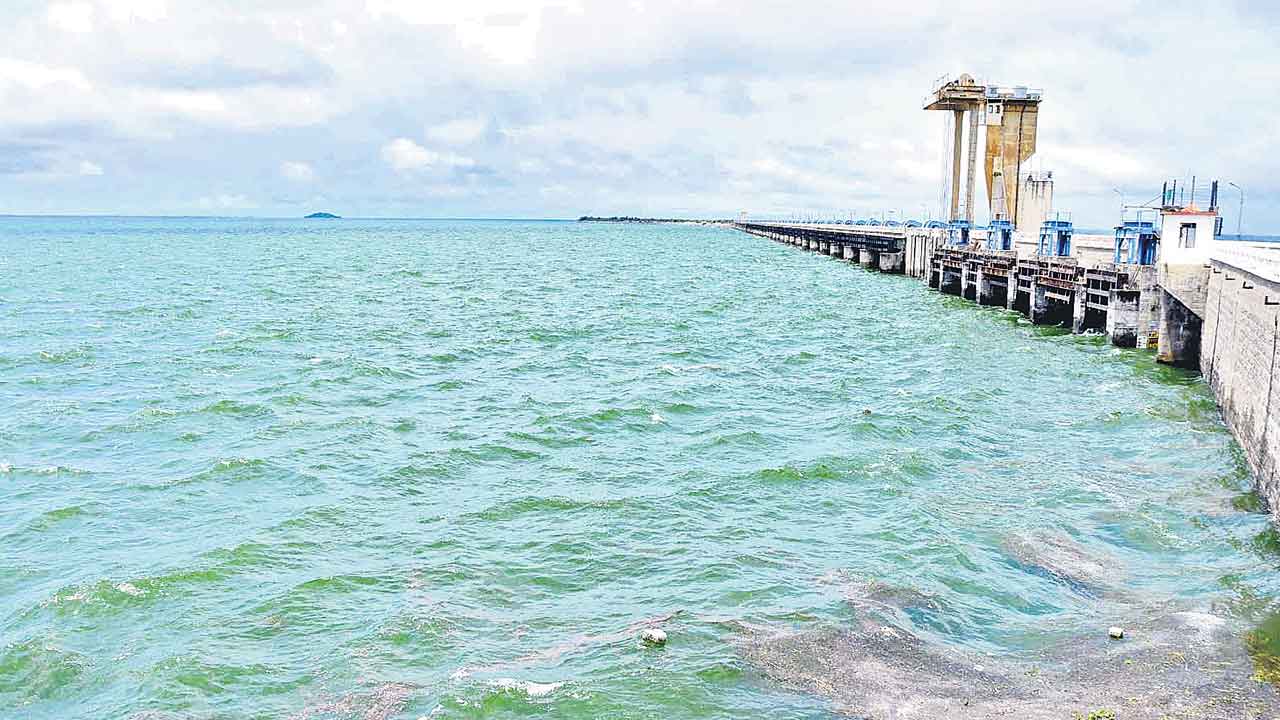 నిశ్చింతగా సాగుడే..