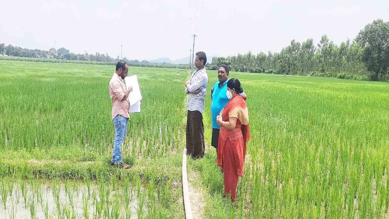పకడ్బందీగా పంటల నమోదు