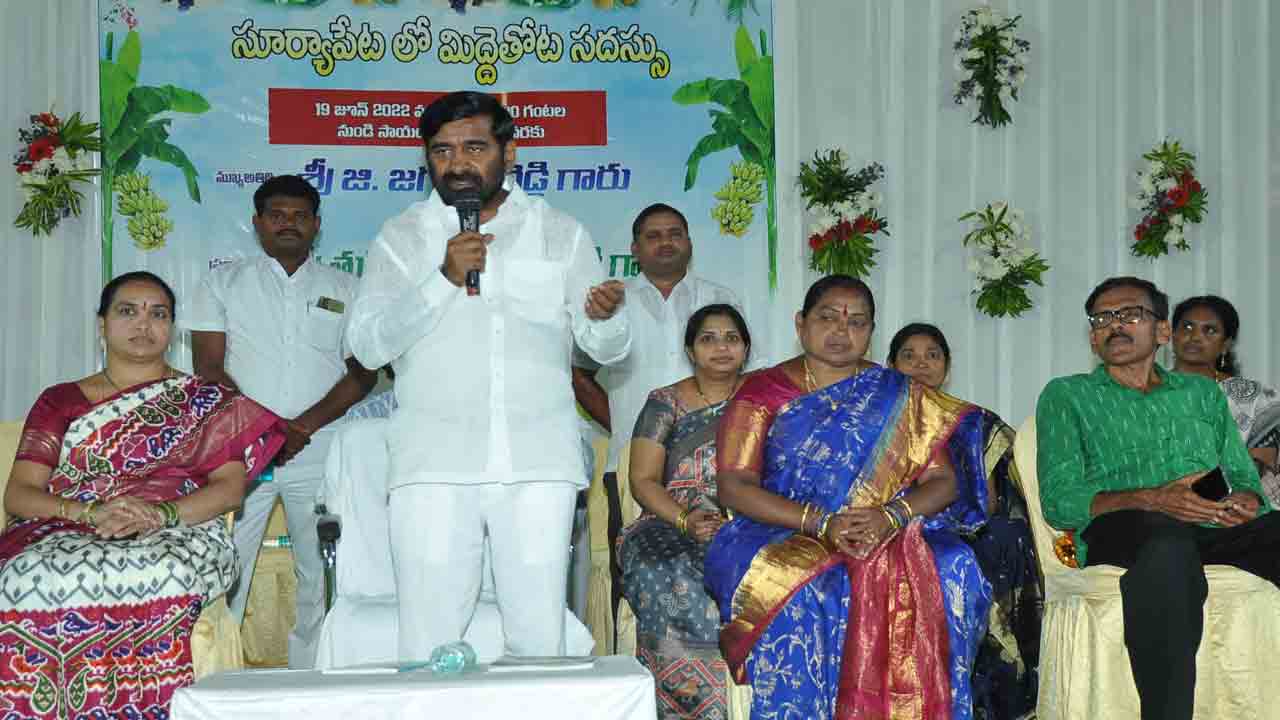 మిద్దె తోటలతో ఆరోగ్యం.. ఆదాయం