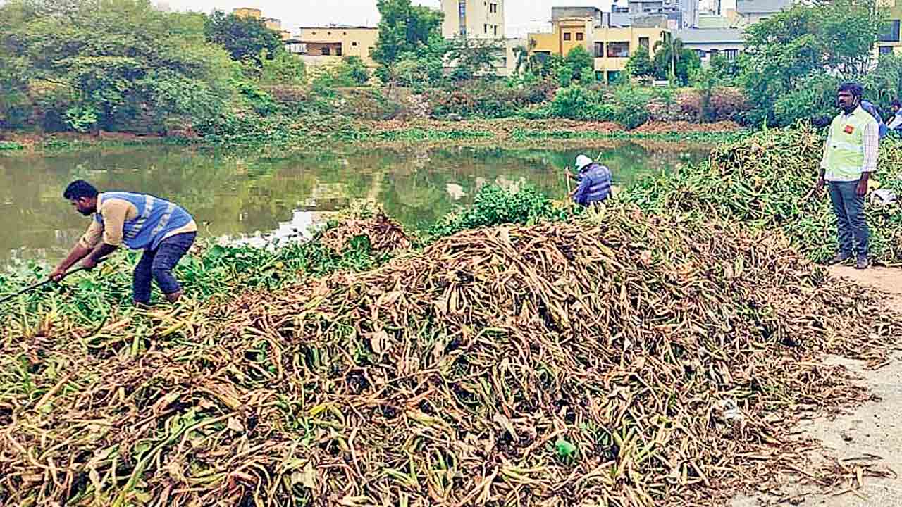 పట్టణ ప్రగతి.. అభివృద్ధి పథం