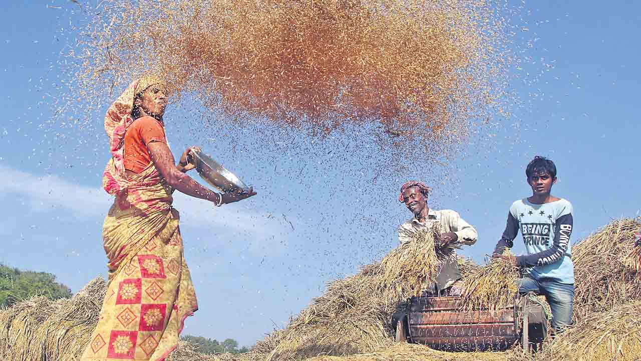 ఖర్చు బారెడు.. మద్దతు మూరెడు