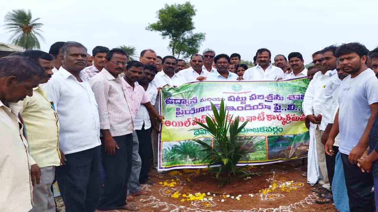 ఆయిల్పాంతో అధిక ఆదాయం