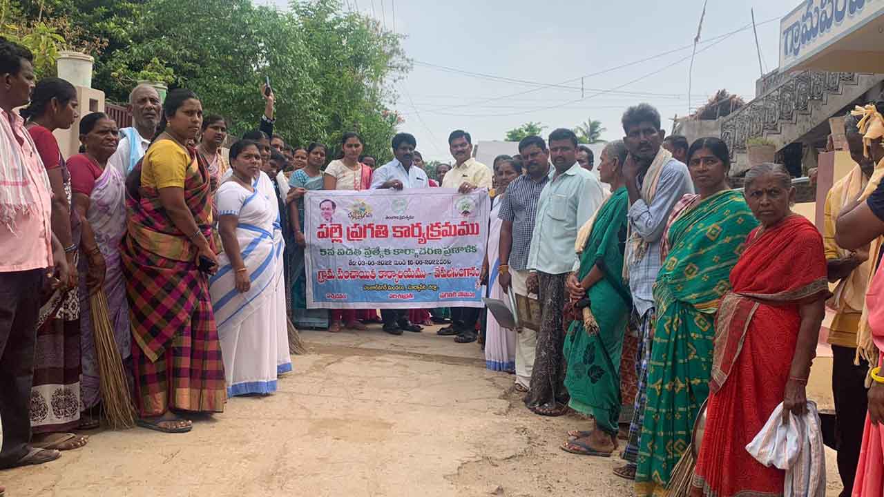 సమస్యల పరిష్కారానికే పల్లె ప్రగతి