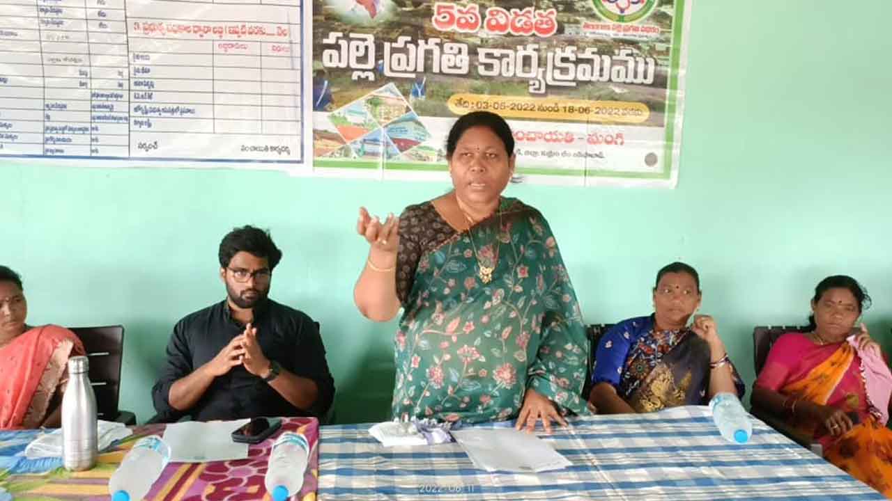 పల్లె ప్రగతితో సమస్యలు పరిష్కారం