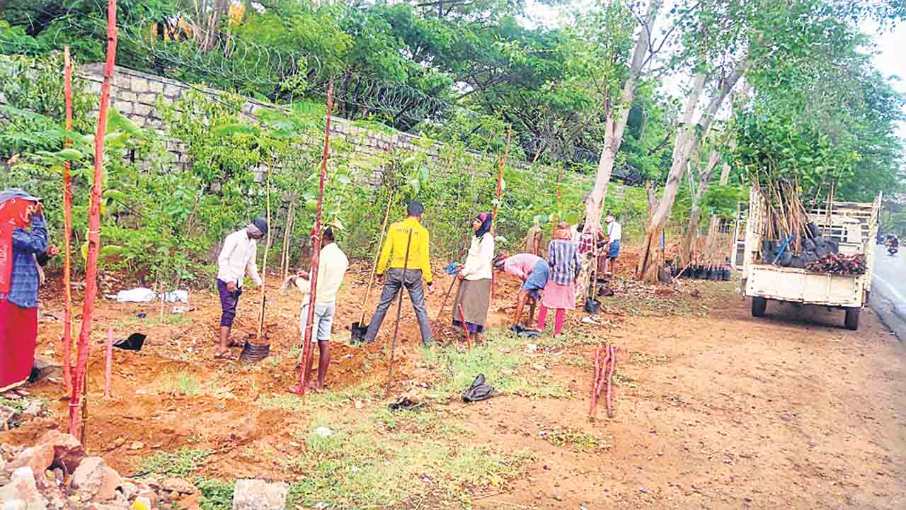 13 రోజుల్లో 5036 బస్తీల్లో పట్టణ ప్రగతి కార్యక్రమం