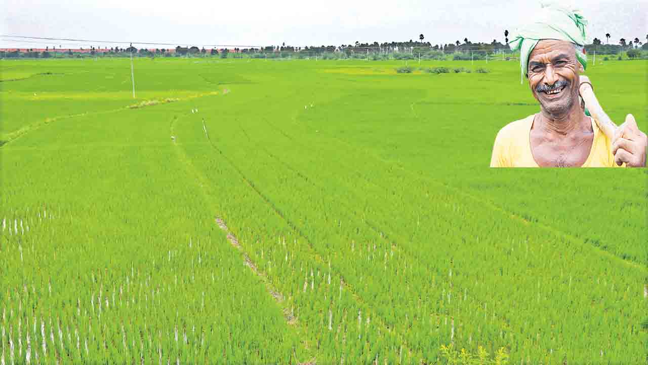 సాగు వృద్ధి అద్వితీయం