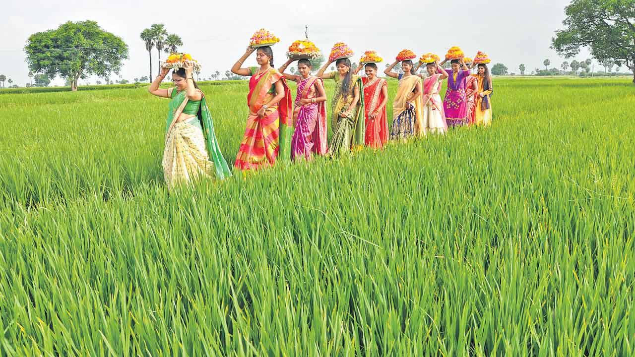 పోరు ఫలము