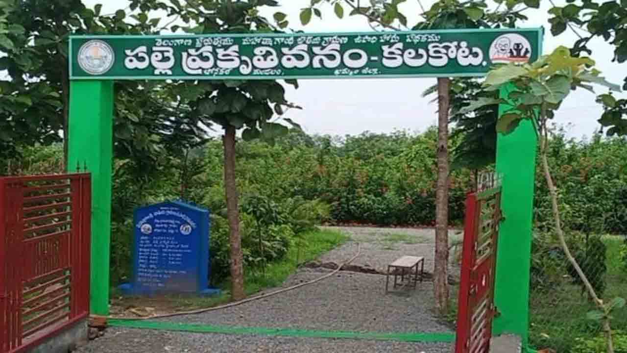 నందనవనాలుగా ప్రకృతి వనాలు