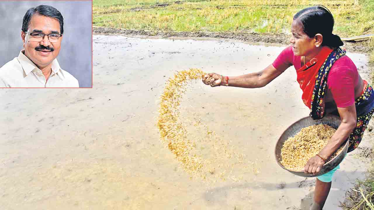 సాగుకు కొత్త దశ దిశ