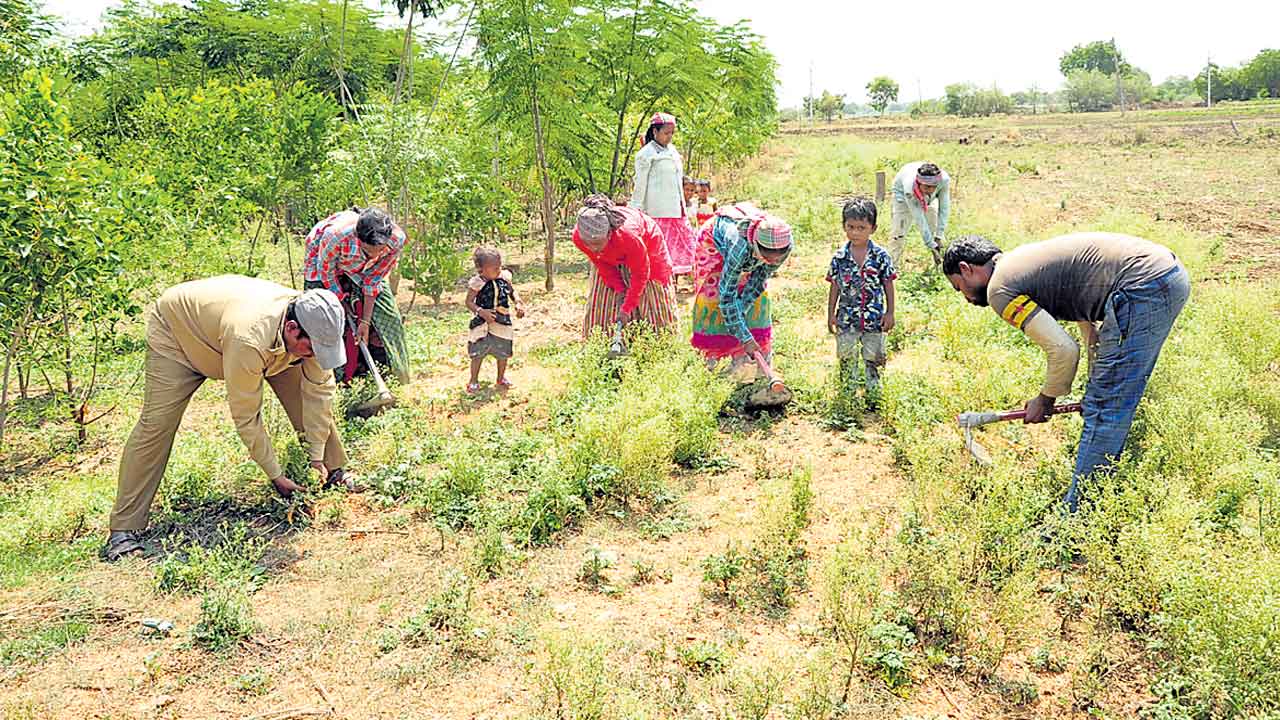 పల్లెకు వరం ప్రగతి వేగం