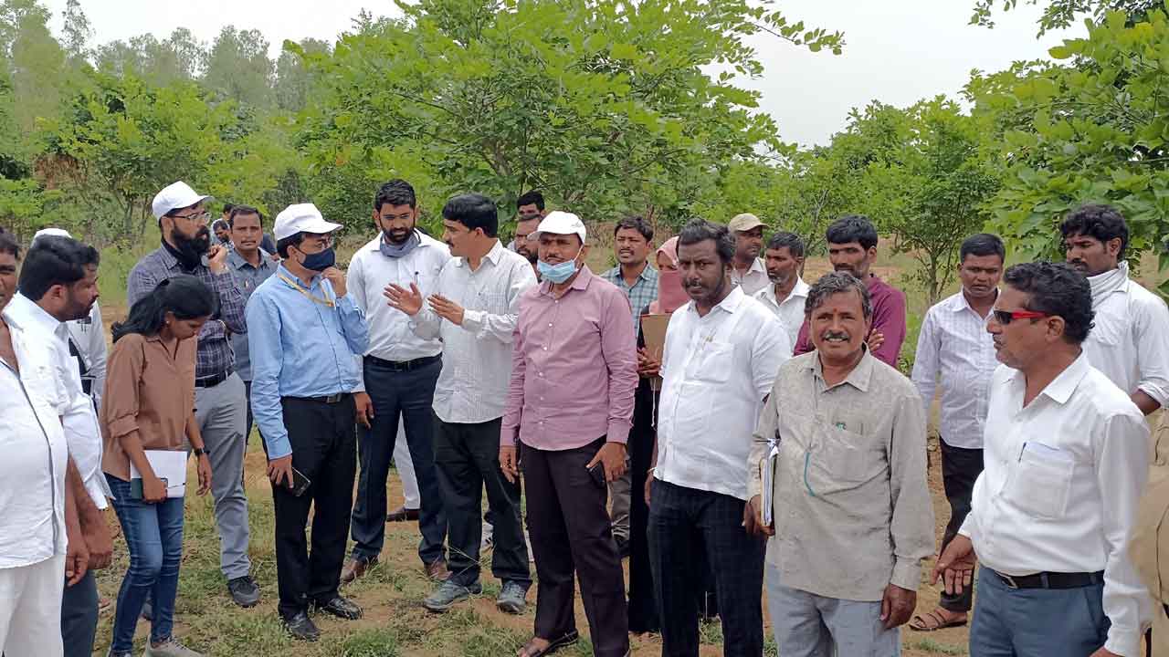 ఉపాధిహామీ పనుల పరిశీలన