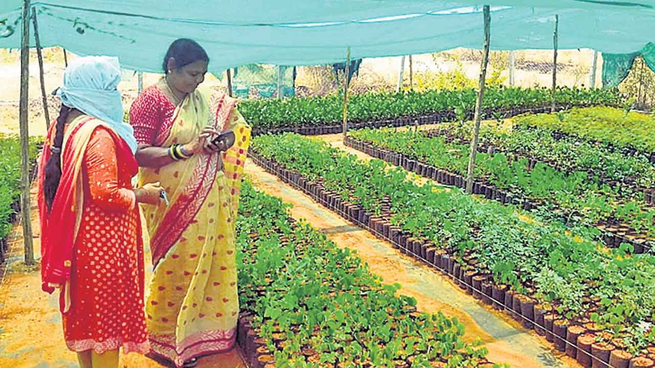 పరిసరాల పరిశుభ్రతకు ప్రతి కృషి చేయాలి