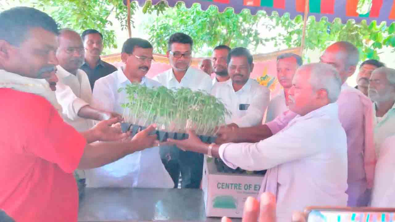 పంటమార్పిడితోనే అధిక దిగుబడి