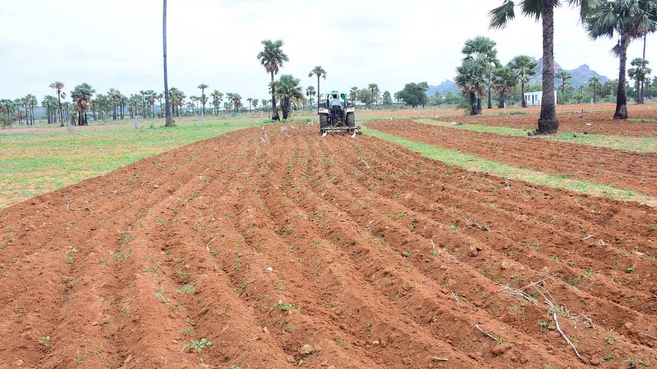 ఎదురులేని దిగుబగికి ఎర్రనేల
